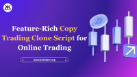 Feature-Rich Copy Trading Clone Script for Online Trading