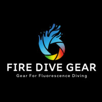 Choose the Right Camera for Underwater Photography Adventures