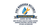 Five Borough Reliable Water Extraction Services Lockport NY