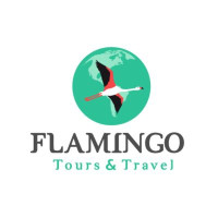 Flamingo Tours and Travel