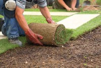 FlexiTurf LTD