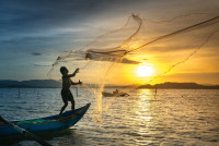 Expert Key Largo Fishing Charters – Deep Sea & Sportfishing