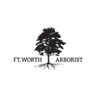 Fort Worth Arborist