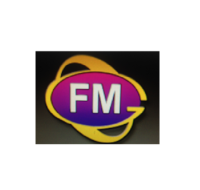 Fortune Motor Group Inc