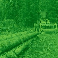 Frank's Land Restoration