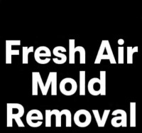 Fresh Air Mold Removal