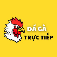 Đá Gà Trực Tiếp