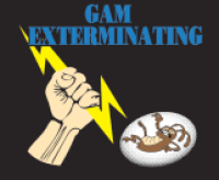 Bed Bug Exterminator in Buffalo