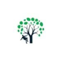 G & C Tree Service LLC