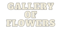 Gallery of Flowers