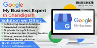 Manim Adhikari: A Trusted Google Ad and GMB Expert