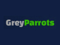 Grey Parrots