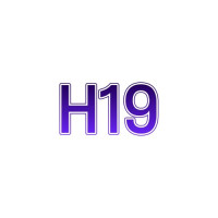 H19