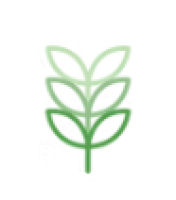 HMA Therapi | Jay Chung, LAc., CHom., PhD