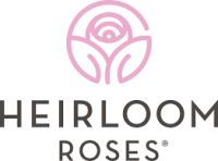 Heirloom Roses