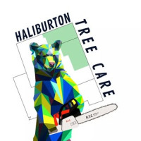 Haliburton Tree Care