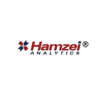 Hamzei Analytics LLC