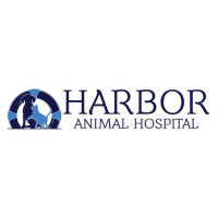 Harbor Animal Hospital