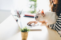 VETOPET Home Veterinary Services