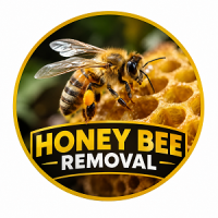 Honey Bee Removal.