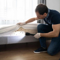Rooftop Exterminating | Pest control service in Brooklyn NY