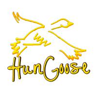 Hungarian Goose Down