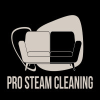 Pro Steam Cleaning