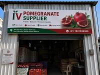 IV Pomegranate Supplier