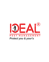 Ideal Pest Management | Professional Pest Control Service in Indore | Termite Treatment, Cockroach & Rodent Control Expert