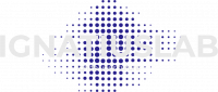 Website Development & Web Design Company Surat