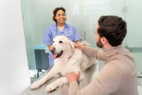 Complete, Compassionate Pet Care in Toronto
