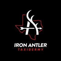 Iron Antler Taxidermy