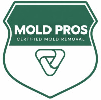 Issaquah Mold Remediation Pros