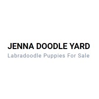 Buy Labradoodles Puppies Online | Aussiedoodle Dogs for Sale