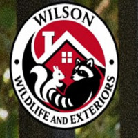 Wilson Wildlife & Exteriors