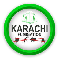 Karachi Fumigation and Pest Control Services