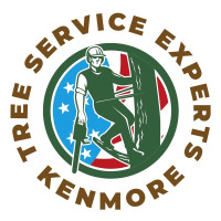 Tree Service Experts Kenmore