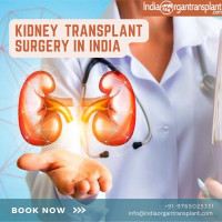 Kidney Transplant Surgery in India