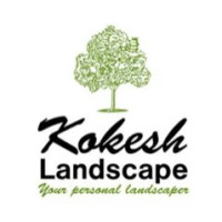 Kokesh Landscape