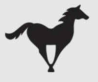 Koni.ua – Equestrian Equipment, Riding Apparel & Horse Tack Store