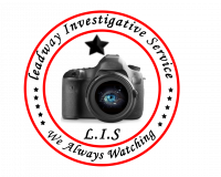 LEADWAY INVESTIGATIVE SERVICES