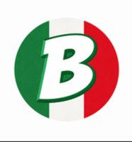 Baja Tours and Transport
