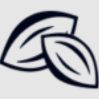 Pecan Solutions