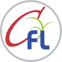 Chintamani Finlease Ltd.