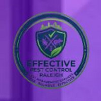 Effective Pest Control Raleigh