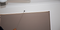 Central City Termite Removal Experts