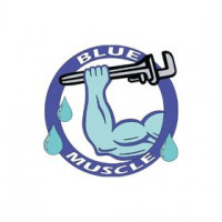 Plumbing Services