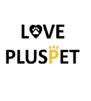 LOVEPLUSPET Offers The Best Dog Back Leg Brace For Arthritis