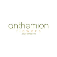 Anthemionflowers