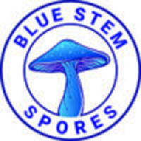 Blue Stem Spores